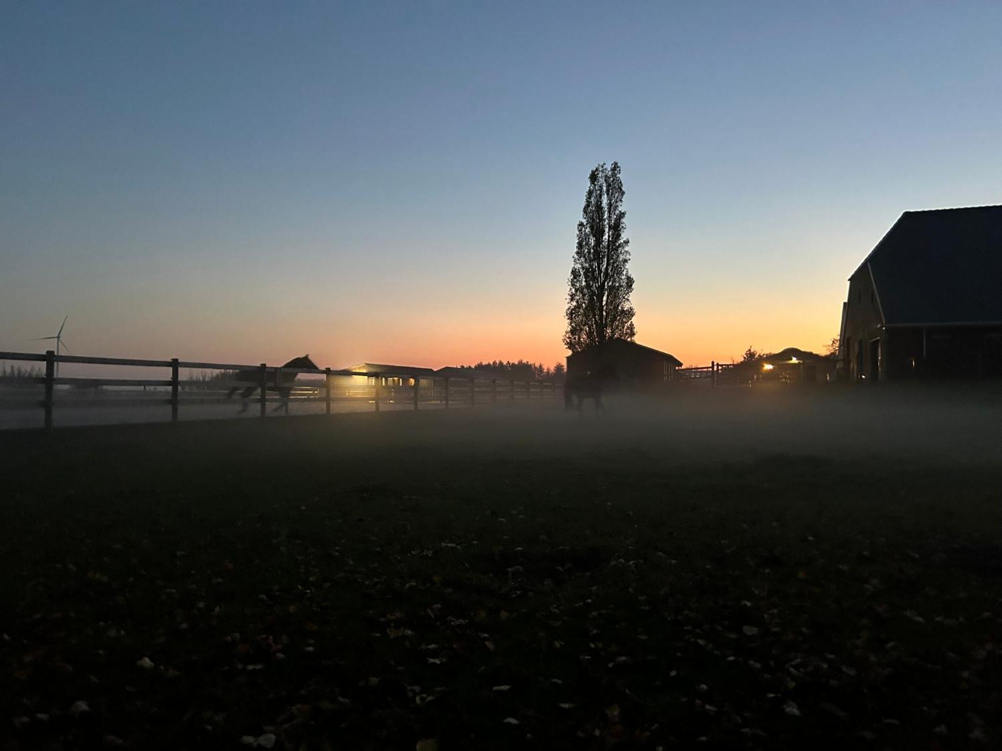 De Cordobahoeve Tweede Exloermond Extérieur photo